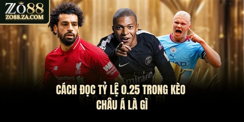 Cách đọc tỷ lệ 0.25 trong kèo châu Á là gì